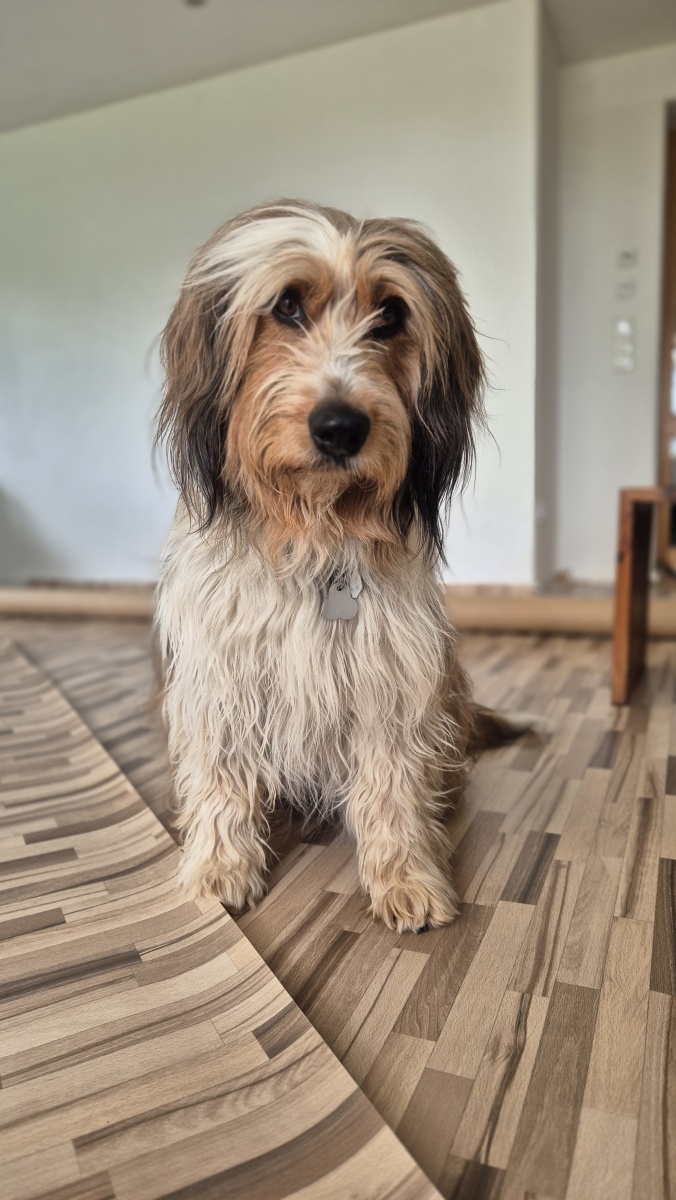 Bailey-von-der-Straubenhalde-2025